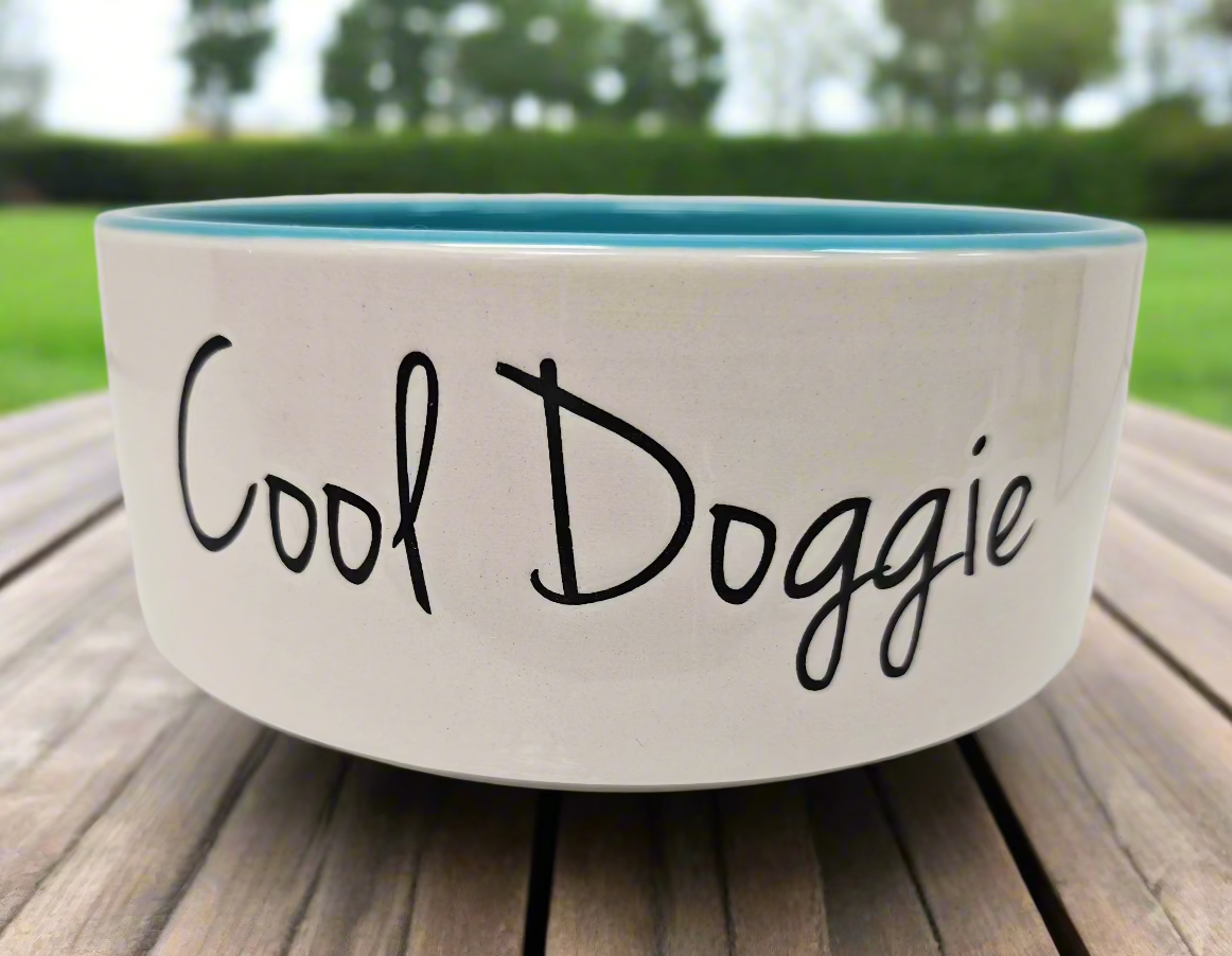 PetRageous Designs Cool Dog Dog Bowl 6" 4 Cups