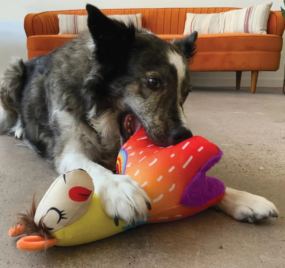 KONG Ballistic Vibez Llama Dog Toy - Assorted
