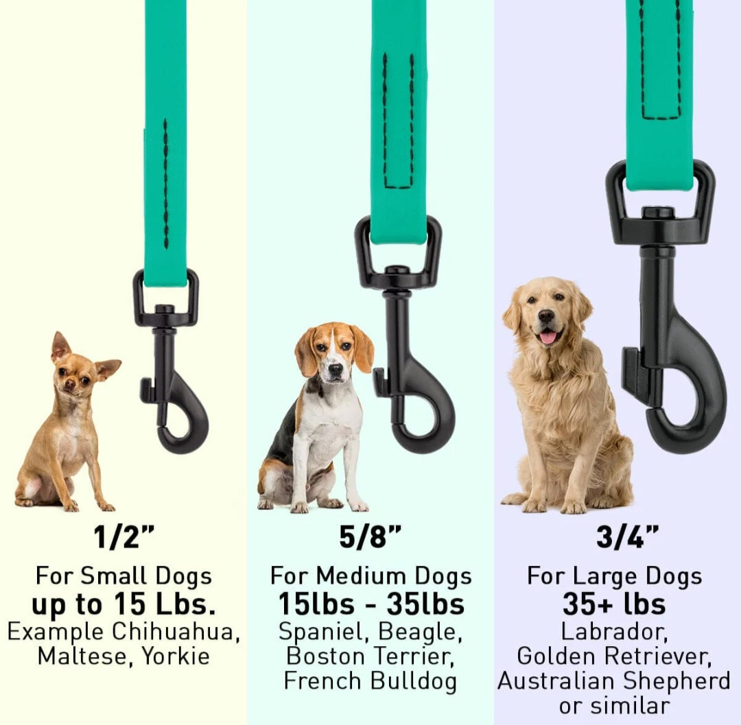 Dogline Biothane Dog Leash 6 ft/ & 1/2" Width