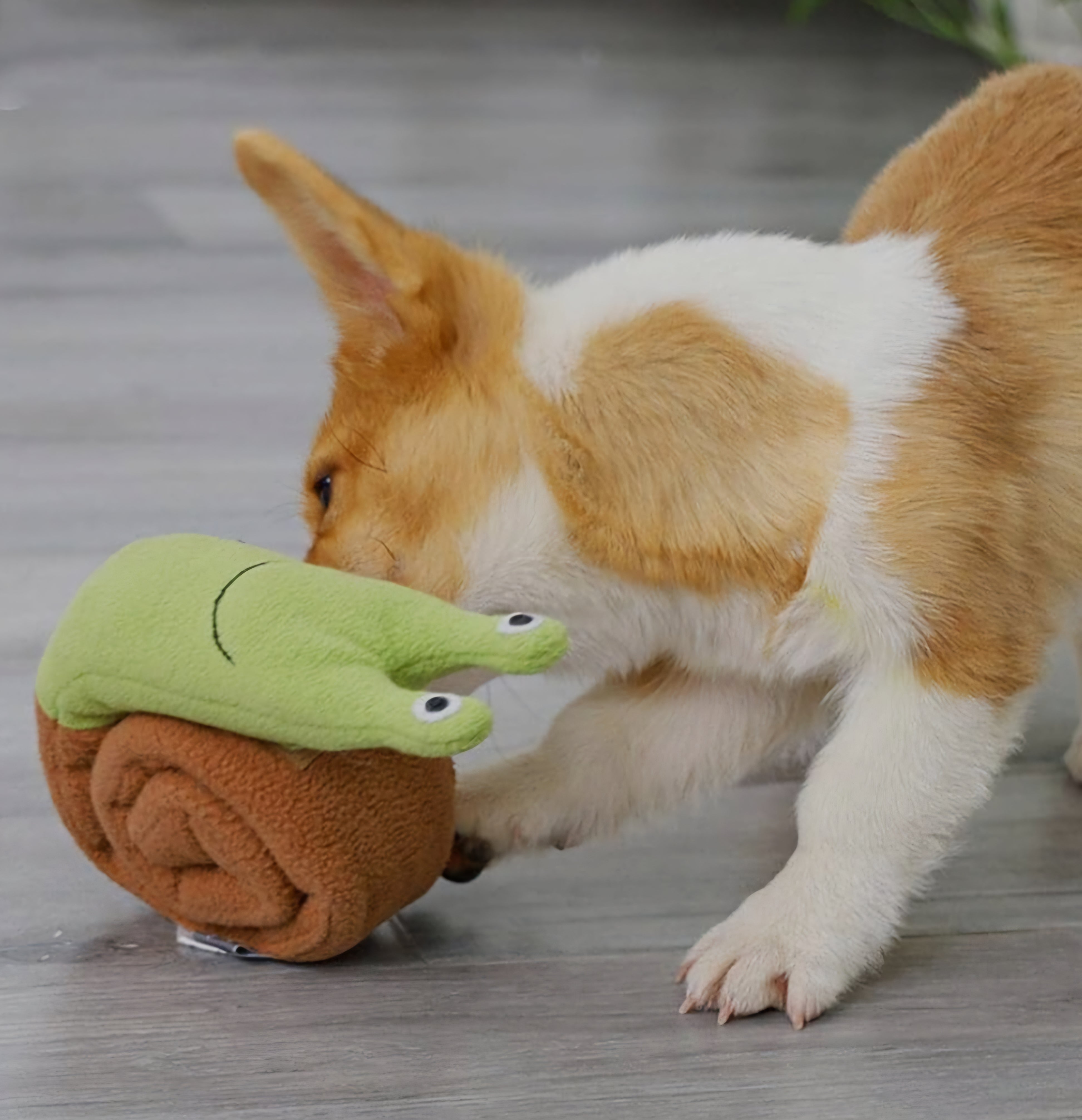 Injoya Snail Roll Up Snuffle Dog & Cat Toy