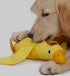 Injoya Duck Snuffle Dog Toy