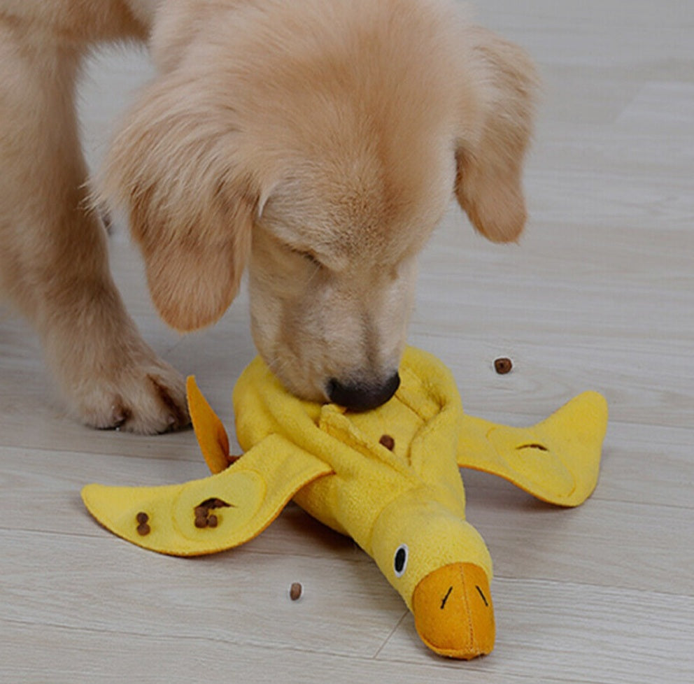 Injoya Duck Snuffle Dog Toy