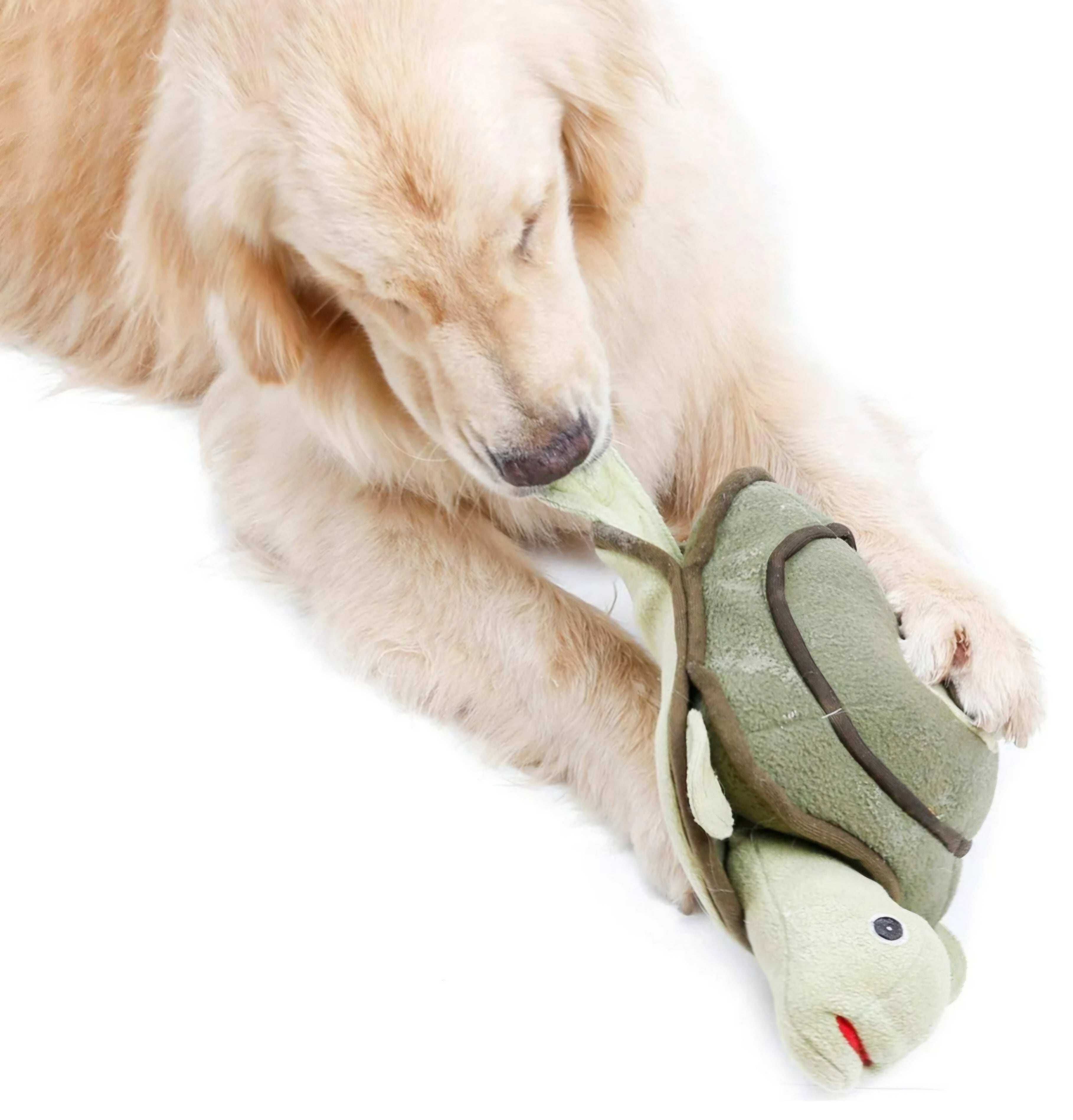 Injoya Turtle Snuffle Dog Toy