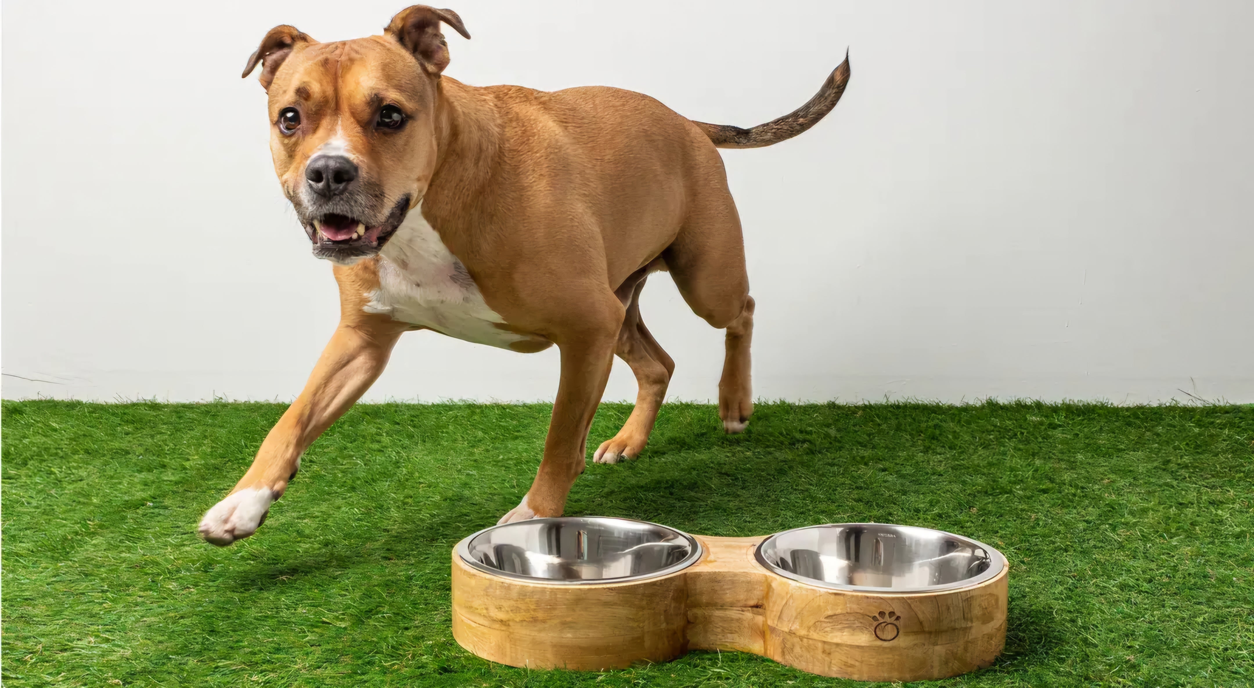 GF Pet Mango Wood Dog Bowl Double