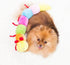 ZippyPaws Caterpillar Dog Toy Large with 7 Squeakers