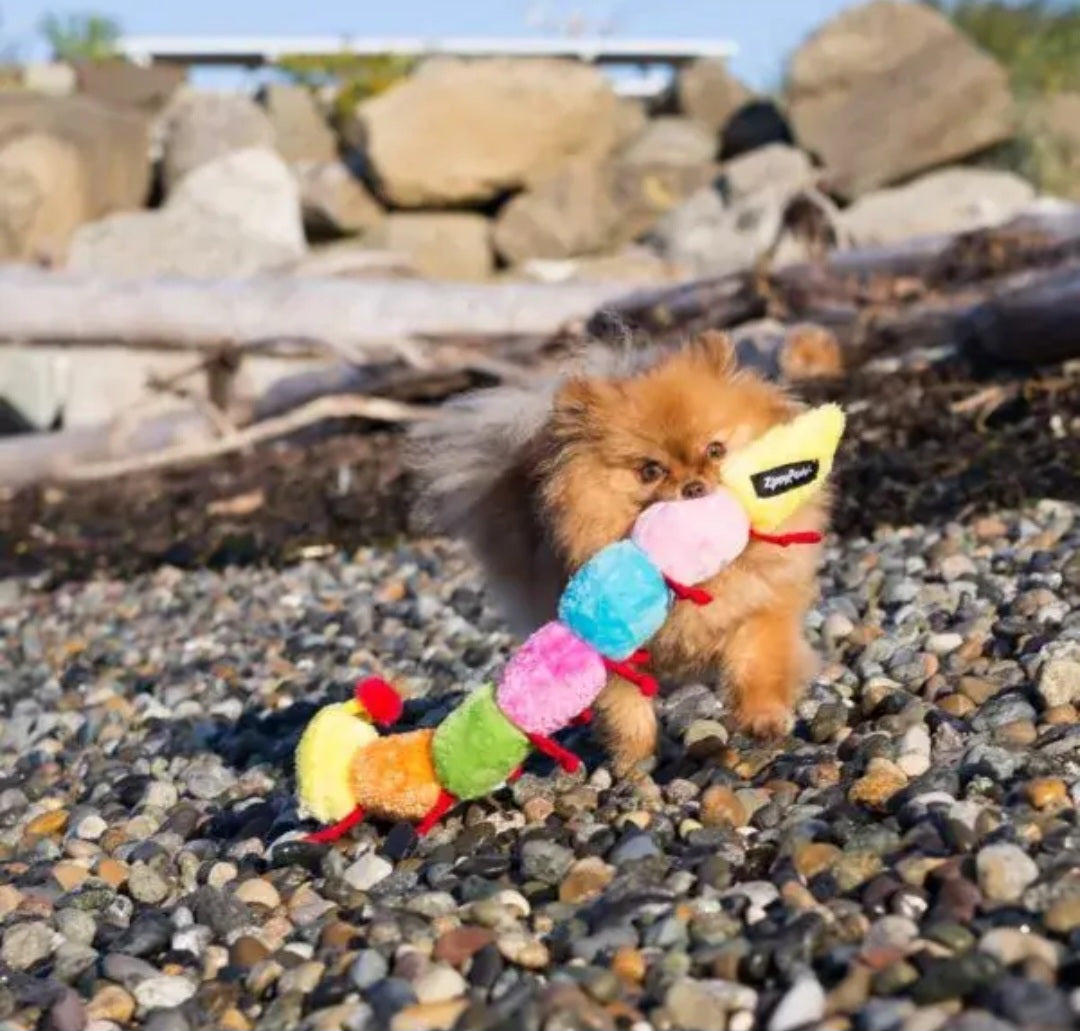 ZippyPaws Caterpillar Dog Toy Large with 7 Squeakers