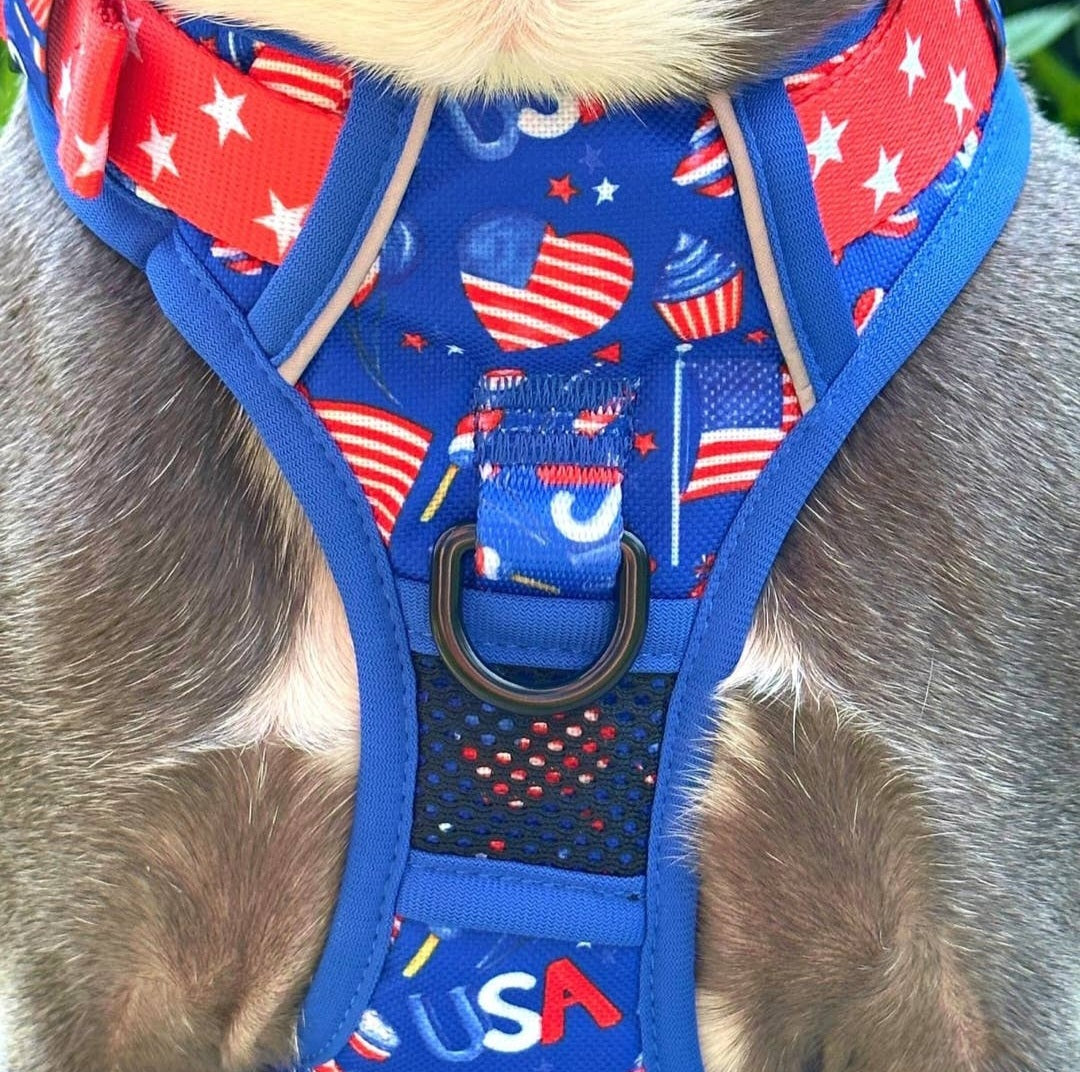 Beast and Buckle Pawty in the USA NO Pull Dog Harness+Leash