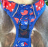 Beast and Buckle Pawty in the USA NO Pull Dog Harness+Leash