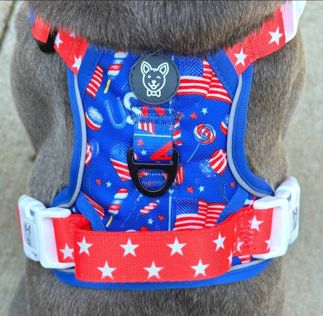 Beast and Buckle Pawty in the USA NO Pull Dog Harness+Leash