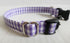 Wag More Gingham Dog Collar Small