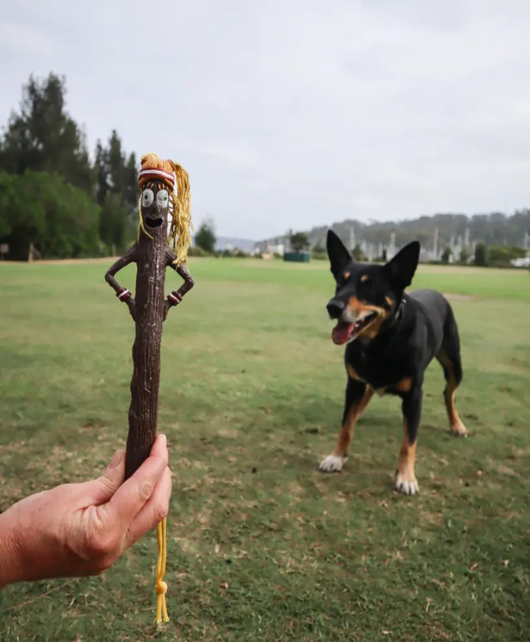 DOOG Stick Family Dog Fetch Toy-Willow