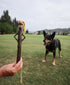 DOOG Stick Family Dog Fetch Toy-Willow