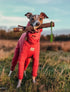 DOOG Super Stick Family Dog Fetch Toys
