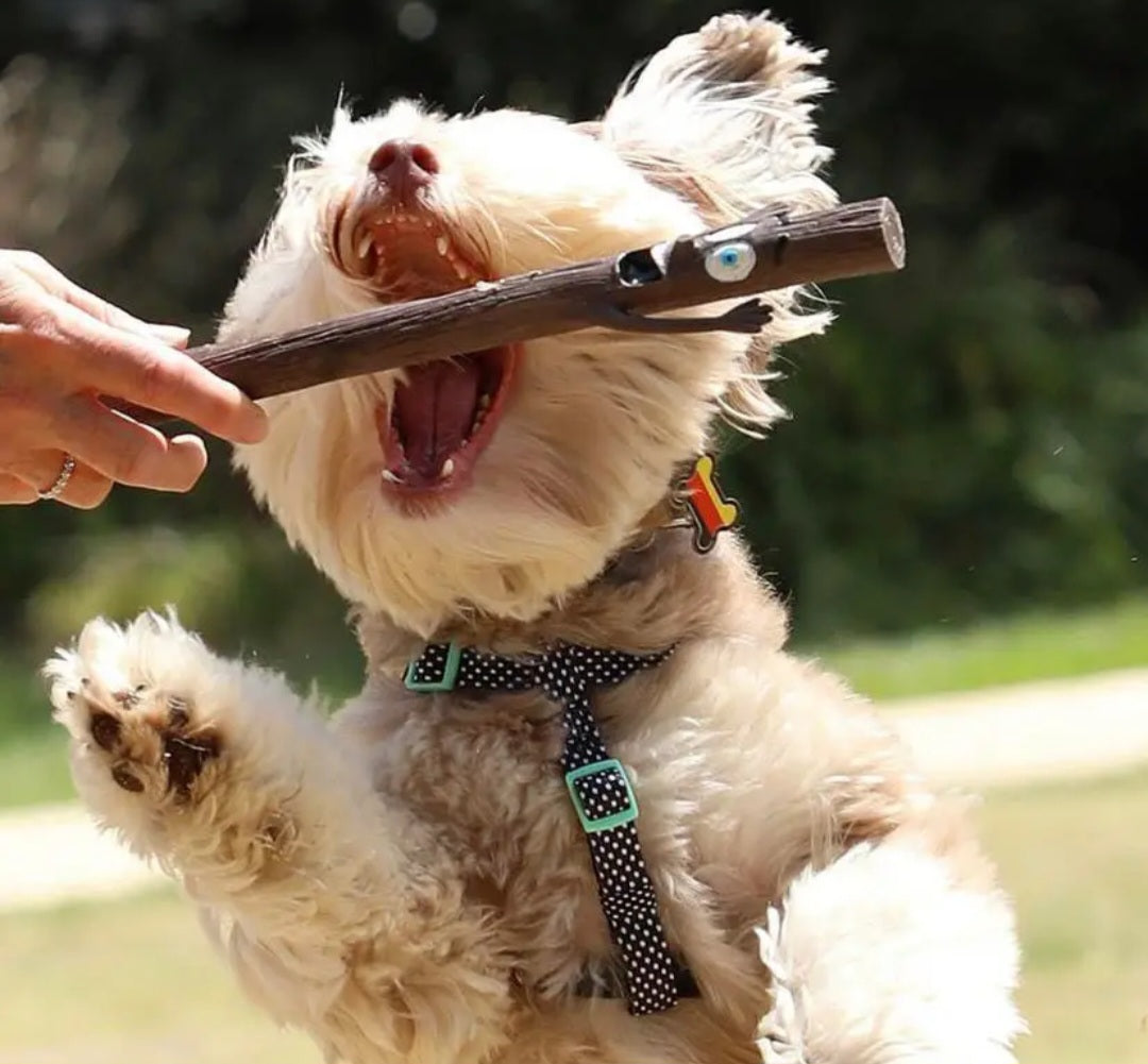 DOOG Stick Family Dog Fetch Toy- Baby Barkley