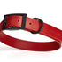 Dogline Biothane Dog Collars/ Small 9"-12"with 1/2" Width