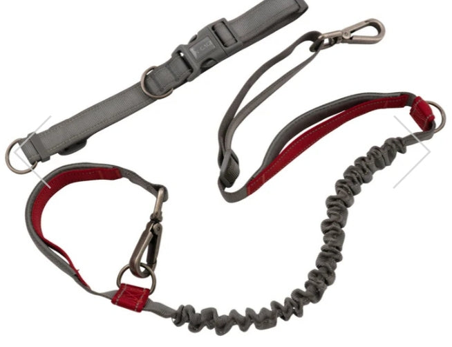 NGage Bungee Running Leash