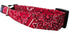 Red Bandana Dog Collar Large