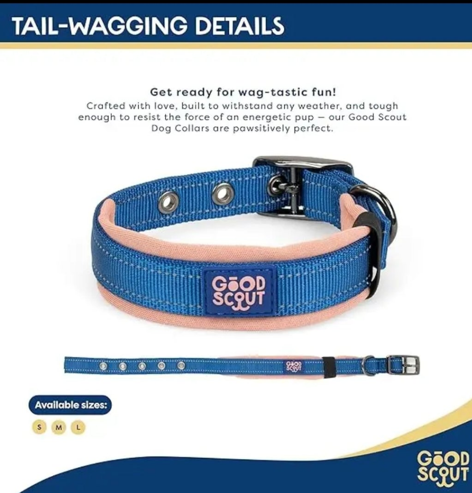 Good Scout Padded Heavy Duty Dog Collar- Medium