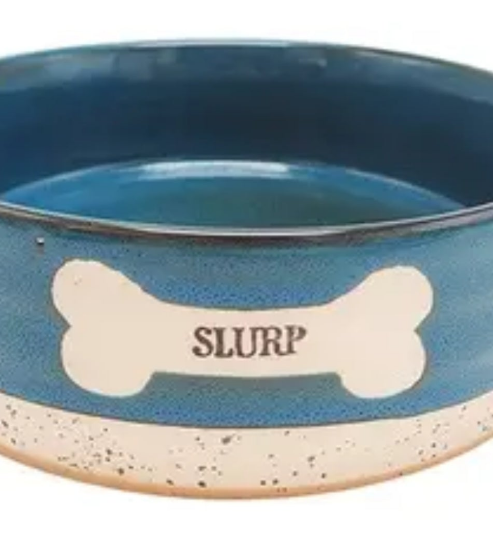 Braxton 8" Pet Bowl |Slurp