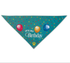 Dog Bandana It's My Birthday'
