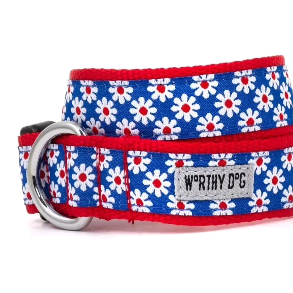 The Worthy Dog Blue Daisies Dog Collar