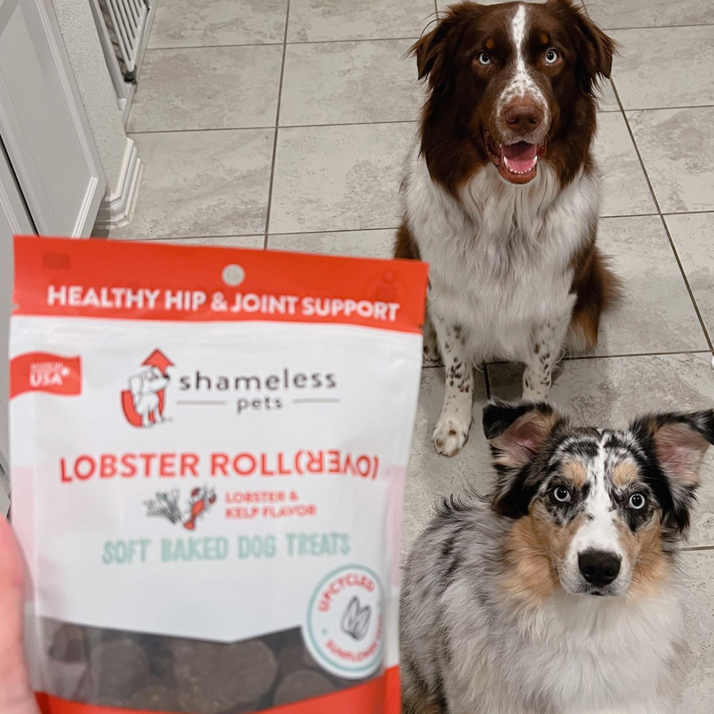 Shameless Pets Lobster Roll (Over) Soft Baked Dog Treats | 6 oz