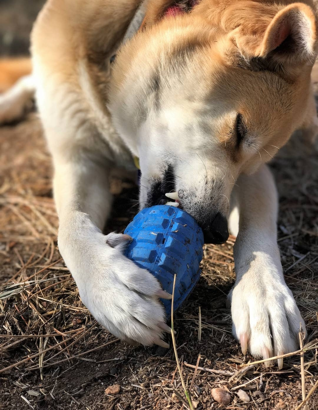 Soda pup USA-K Grenade Chew Toy | Medium