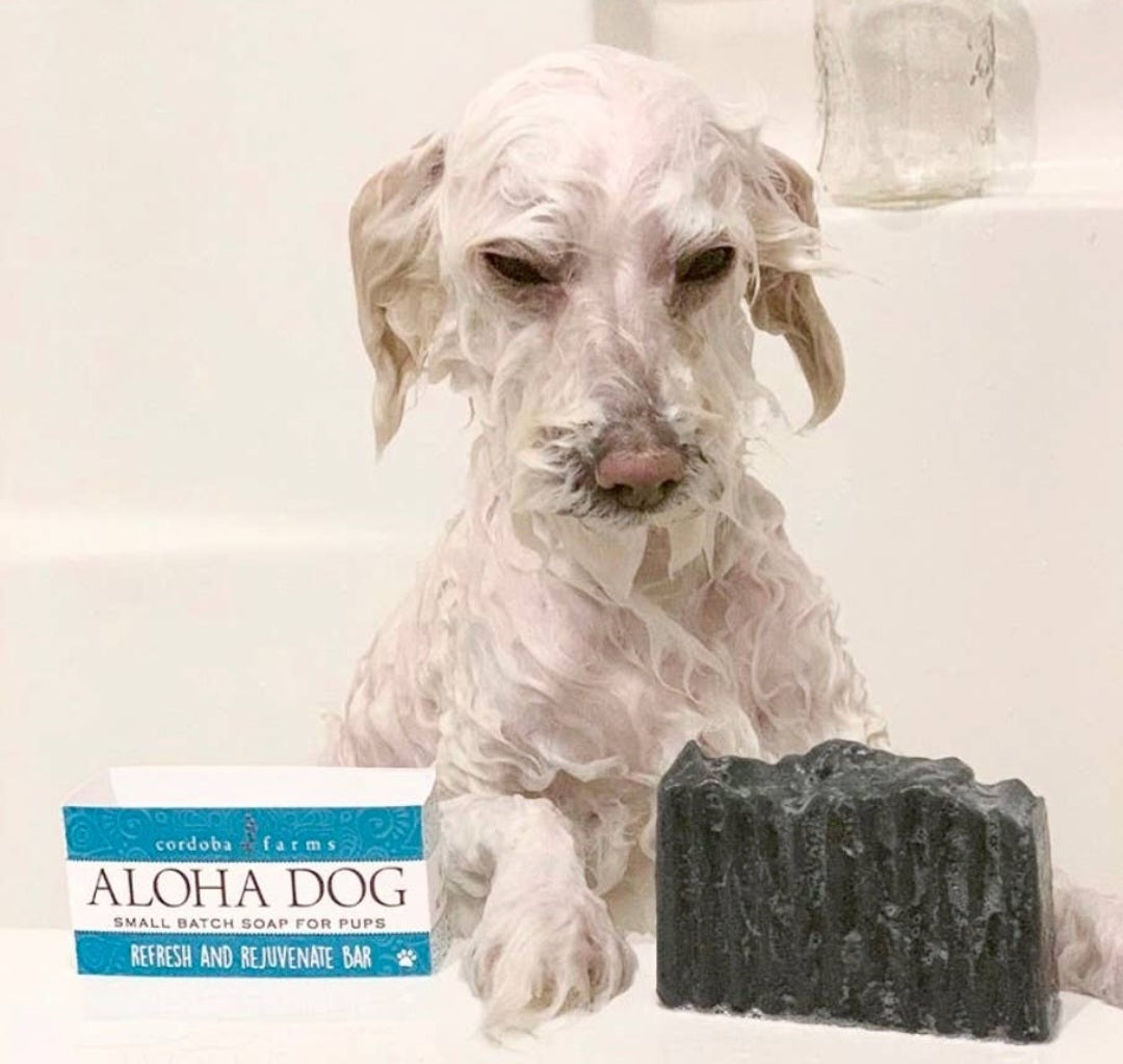 Cordoba Farms Aloha Dog-Refresh & Rejuvenate Bar