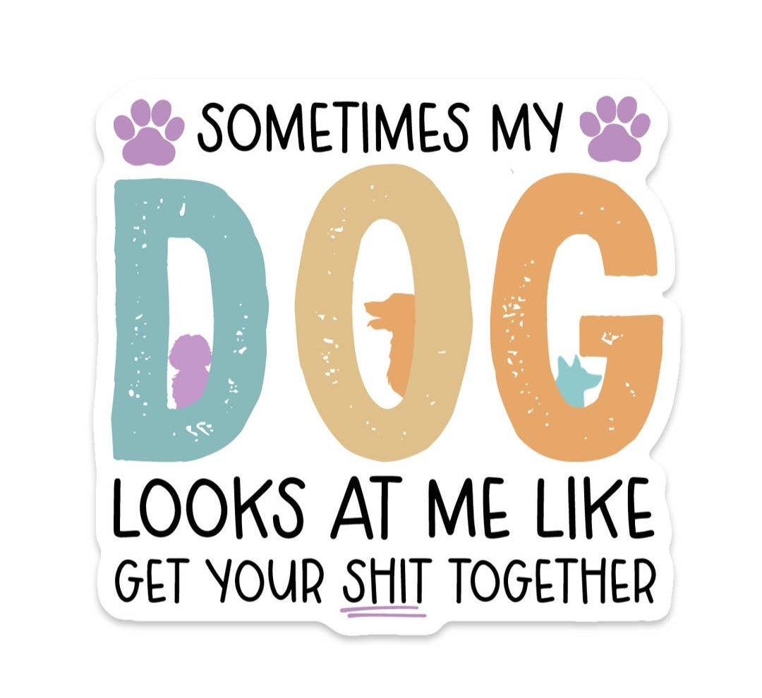 Scenic Route Design Co | Dog Get Your Shit Together Sticker