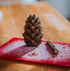 Loblolly Pinecone Puzzle Dog Toy