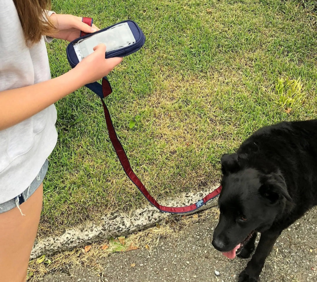 Soggy Doggy No- Pockets Decorative Leash-Cranberry/Navy