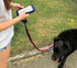 Soggy Doggy No-Pockets Decorative Leash-Light Blue/Navy