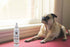 Warren London Bitter Spray Anti-Chew 8 oz