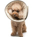 Dogo Pet Get Better Soft E-Collar