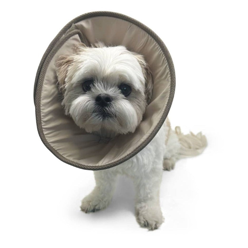 Dogo Pet Get Better Soft E-Collar