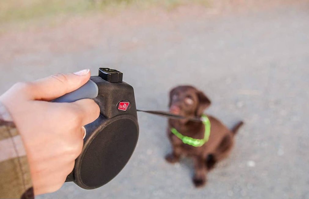 Wigzi Gel Handle Reflective Tape Retractable Leash-Options