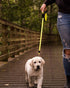 Wigzi Gel Handle Reflective Tape Retractable Leash-Options