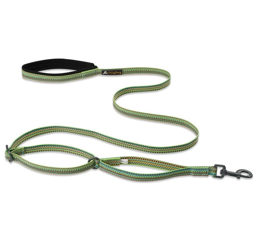 OllyDog Rescue Adjustable Leash