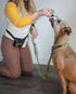 OllyDog Rescue Adjustable Leash