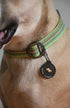 OllyDog Rescue Collar | Prism Green