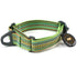 OllyDog Martingale Rescue Mesa Dog Collar |Prism Green