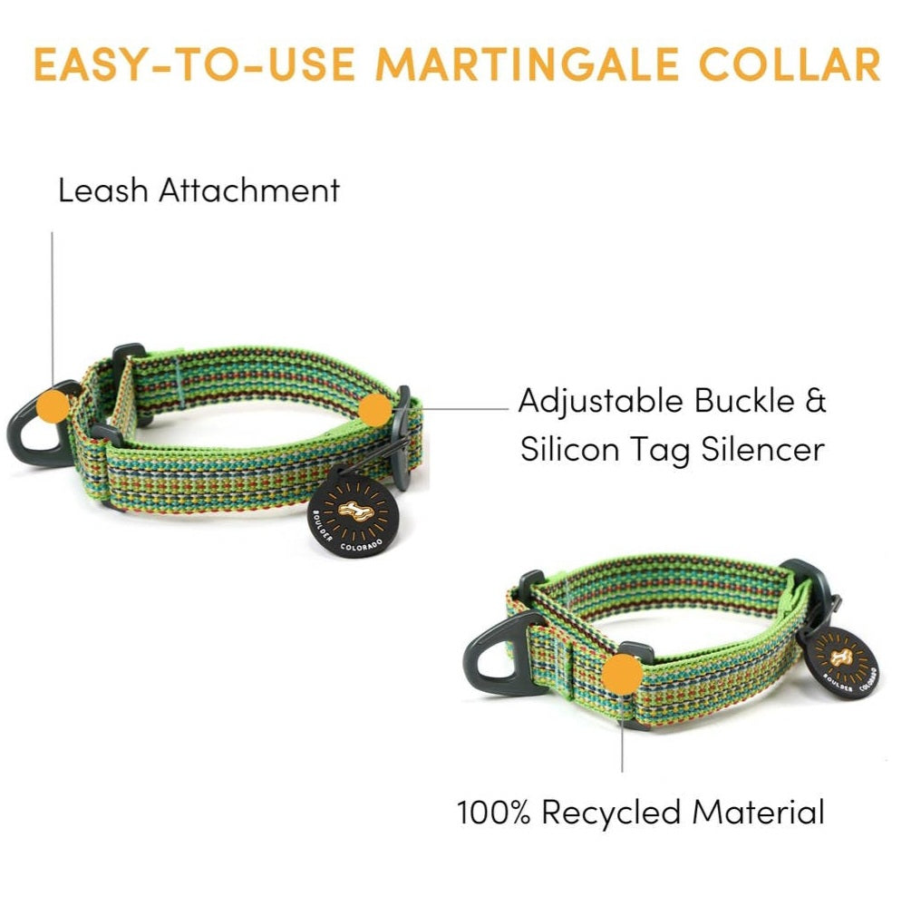 OllyDog Martingale Rescue Mesa Dog Collar |Prism Green