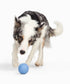 Fable Pet Signature Ball