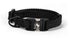 Rope Hounds Narrow Adventure Dog Collar-Options