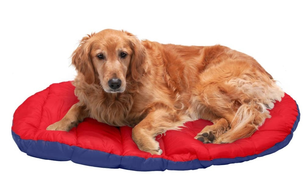 FurHaven Pet Trail Pup Packable Travel Pillow| Flame Red & True Blue