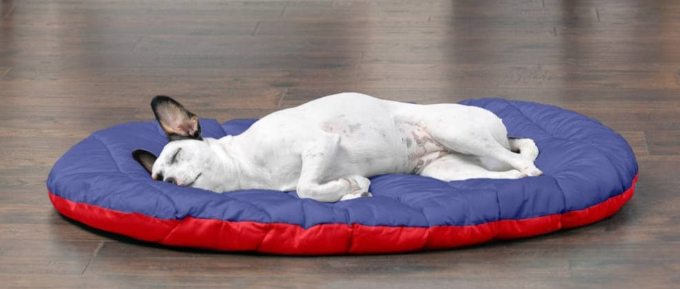 FurHaven Pet Trail Pup Packable Travel Pillow| Flame Red & True Blue