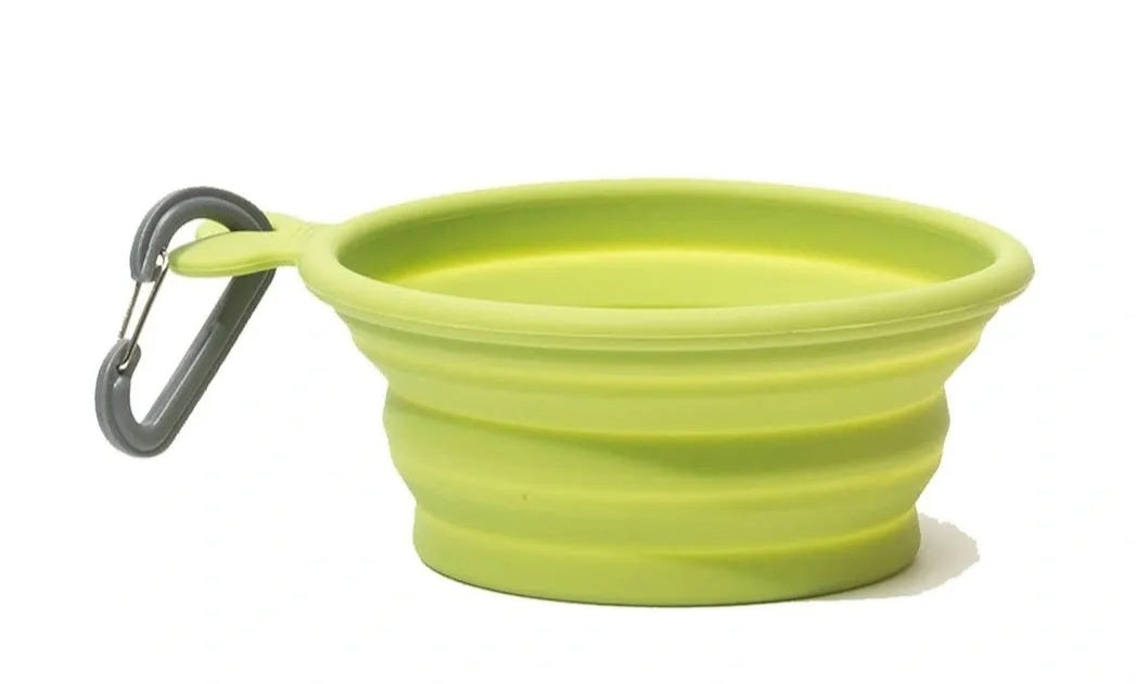 Messy Mutts Silicone Collapsible Dog Bowls | Small