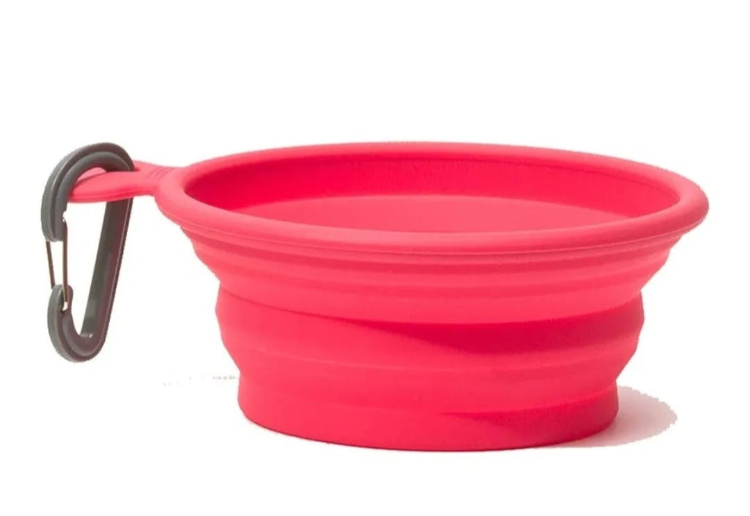 Messy Mutts Silicone Collapsible Dog Bowls | Small