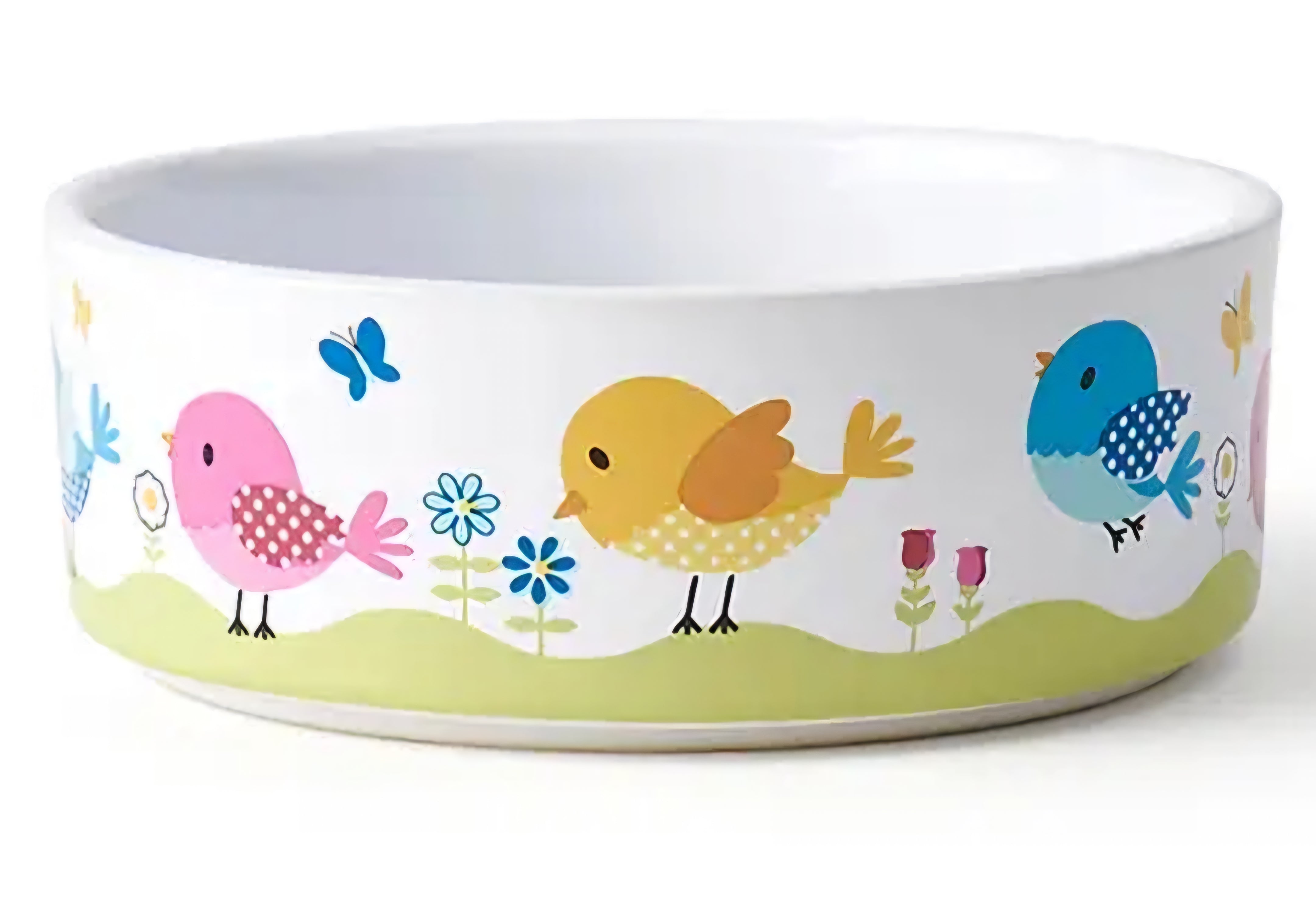 Petrageous Designs Early Bird Dog Bowl 5" 2 Cups