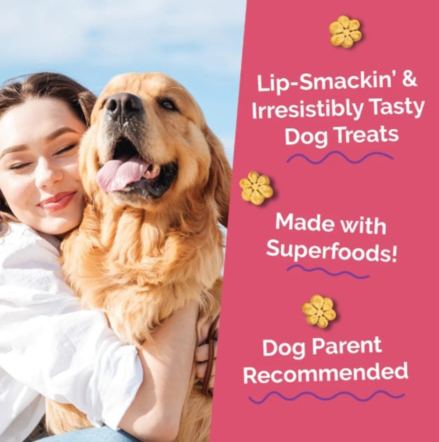 Fruitables Baked Pumpkin and Apple Flavor Dog Treats 7 oz